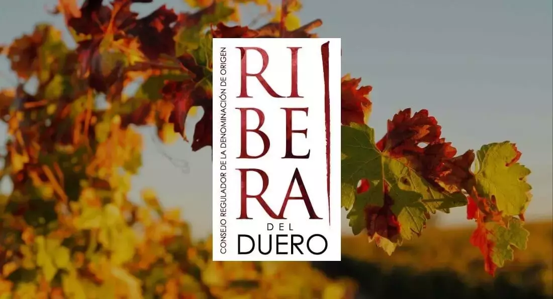 Ribera del Duero y Pet Shop Boys: Un Maridaje Musical Inesperado en Santander