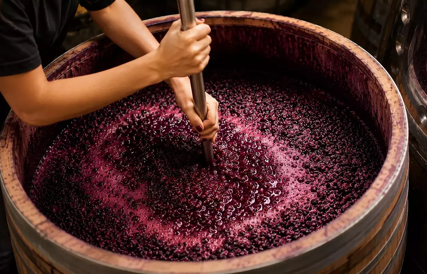 El Reino Microscópico: Cómo las Levaduras Esculpen la Identidad del Vino