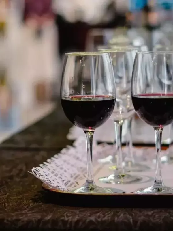 Zaragoza: Centro Global de Garnacha y Epicentro de la Gastronomía Sostenible