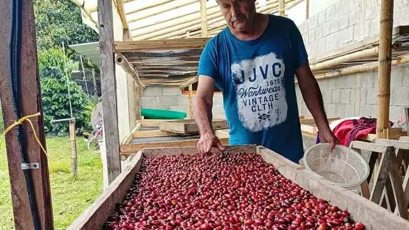 Cómo Construir una Reputación Duradera en el Mercado del Café Especializado