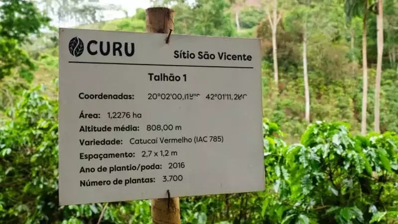 La Deforestación y su Impacto Devastador en la Industria del Café