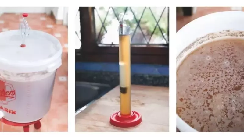 Cómo Identificar la Fermentación Correcta de tu Cerveza Casera