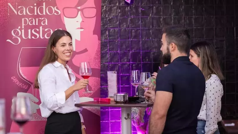 Rosados de Navarra: Frescura y Versatilidad en Cada Copa