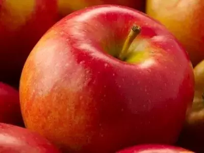 Manzanas Envy: Un Tesoro Nutricional Cultivado en Soria que Conquista Paladares