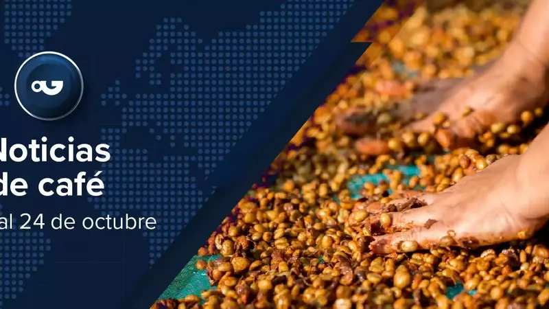 Panorama Cafetero Global: Premios, Precios y Desafíos en la Industria