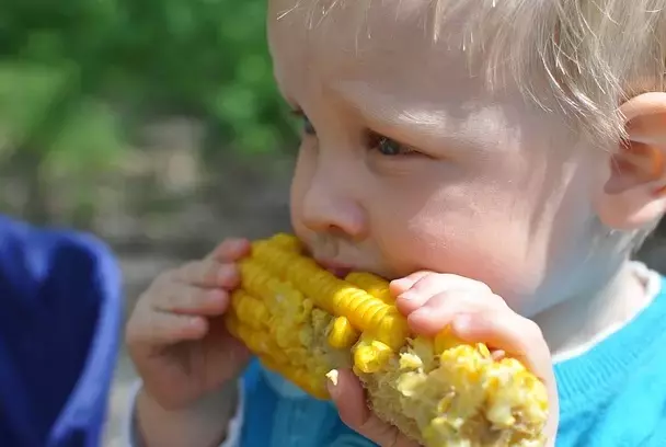 La Importancia de Elegir Meriendas Saludables para Niños