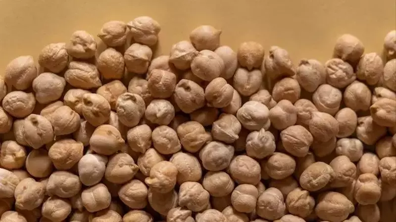 Los Garbanzos: Un Tesoro Nutricional Versátil