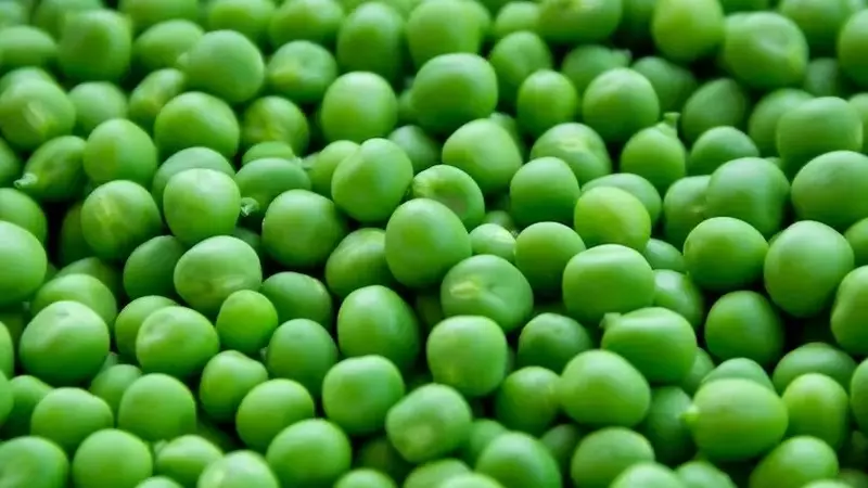 Descubre los Beneficios de una Alimentación Equilibrada: Recetas Frescas y Saludables a tu Alcance