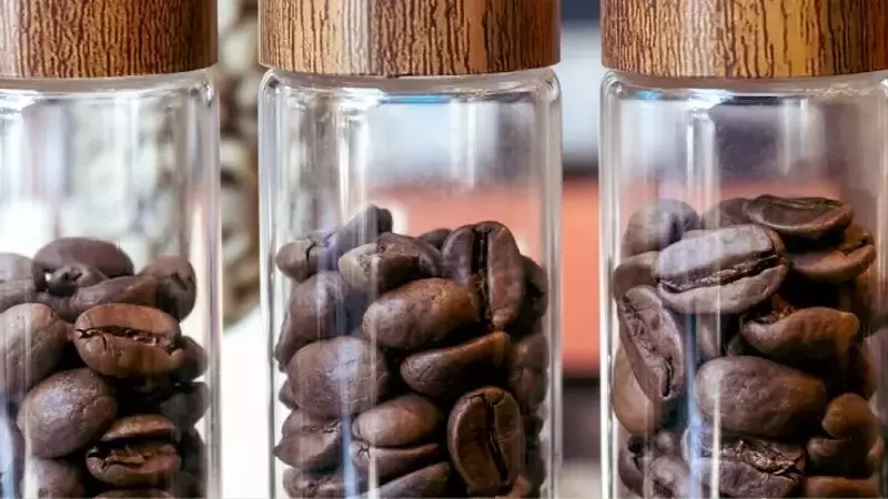 La Congelación de Café: Una Revolución en la Preservación de la Frescura
