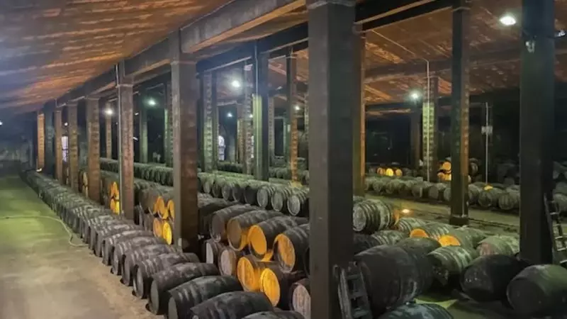 Bodegas J. Ferris: Tradición Vinícola que Conquista el Mundo