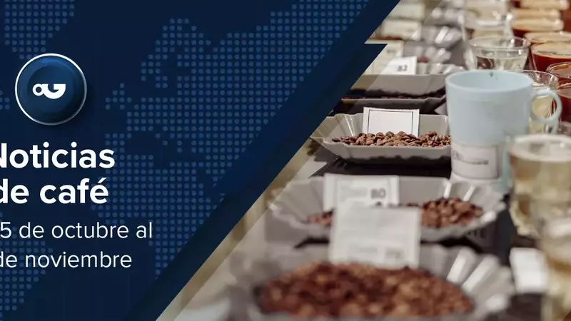 Panorama Cafetero Global: Aumentos de Exportación, Innovación y Desafíos Sostenibles