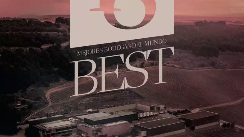 Reconocimiento global: Pago de Carraovejas entre los 20 mejores viñedos del mundo
