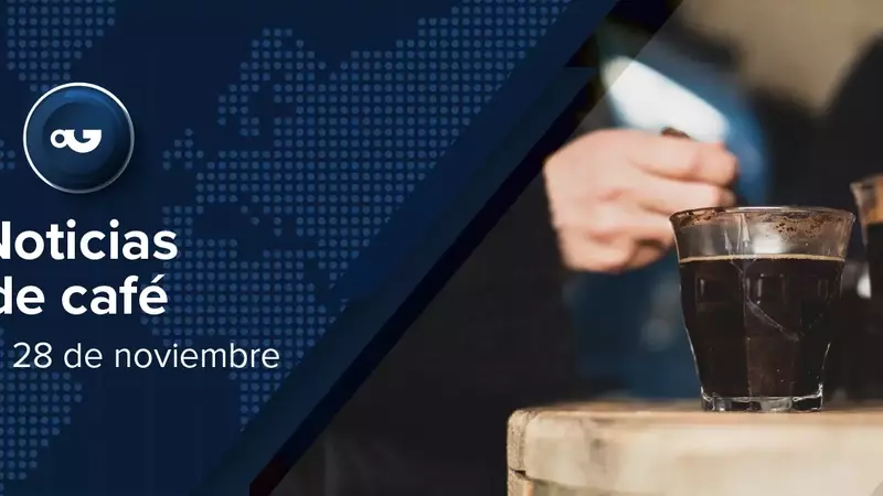 Panorama Global del Café: Premios, Precios y Prácticas Sostenibles