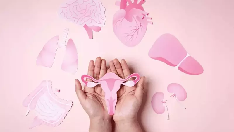 Equilibrio Hormonal Femenino: Una Perspectiva Holística para el Bienestar