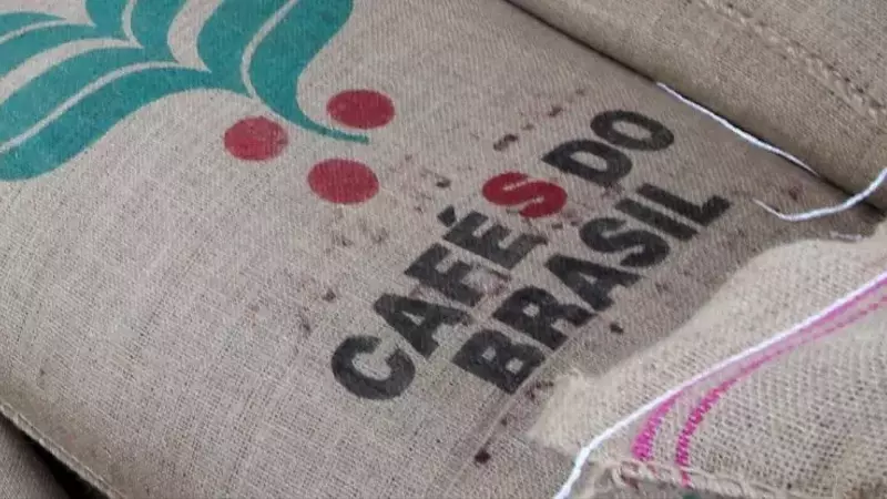 Denominaciones geográficas en el café: ¿Autenticidad o mera estrategia de marketing?