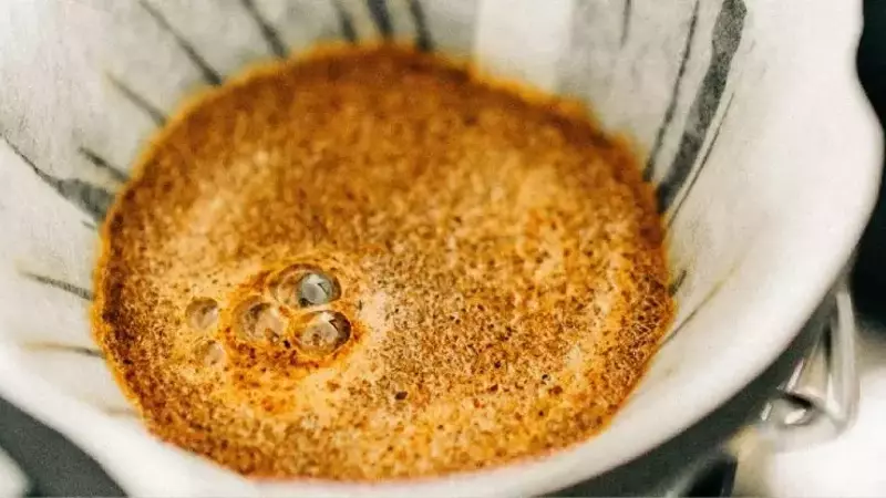 Descubriendo el Fenómeno Detrás del Café Más Caro del Mundo