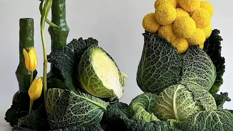 Tendencias Estéticas y Gastronómicas para el 2026: Dulces y Repollo
