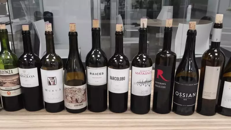 Un Vistazo Profundo a las Catas de Vino Recientes en Verema