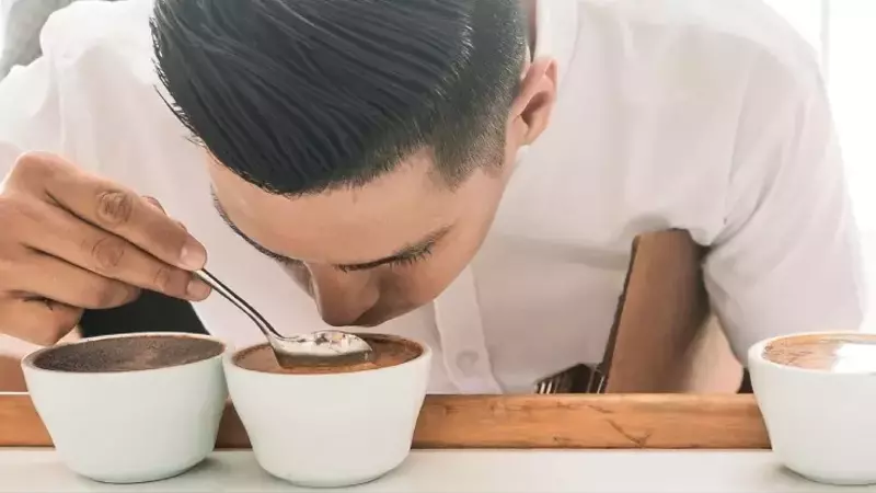 El Declive de la Relevancia de Taza de Excelencia en el Mercado del Café Especializado