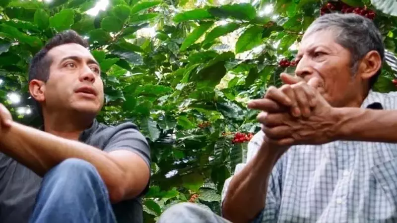 El comercio directo de café: Más allá de lo social, un modelo de negocio rentable