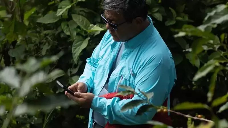 Por qué cambiar la variedad de café no siempre mejora el rendimiento: Un análisis integral