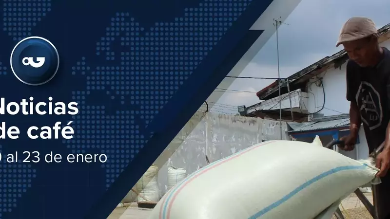 Panorama Global del Café: Récords, Desafíos y Tendencias Emergentes