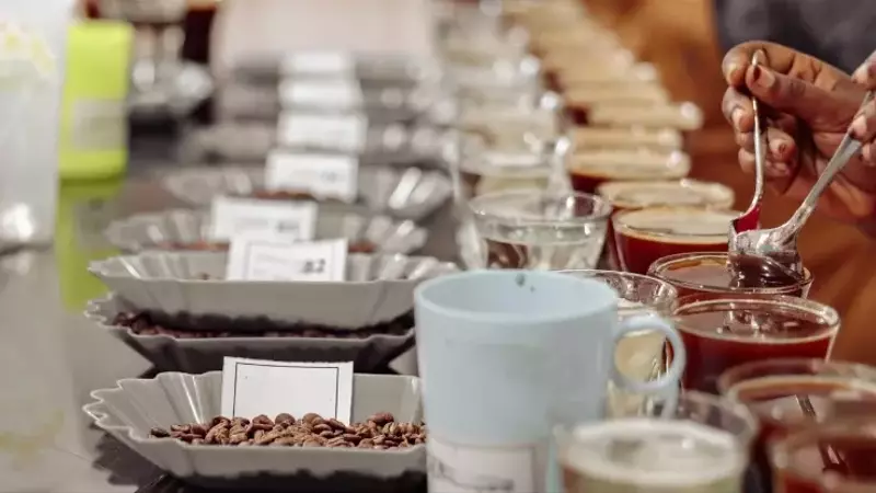 La Agotadora Realidad del Comercio Global de Café: Entre la Volatilidad y la Resiliencia