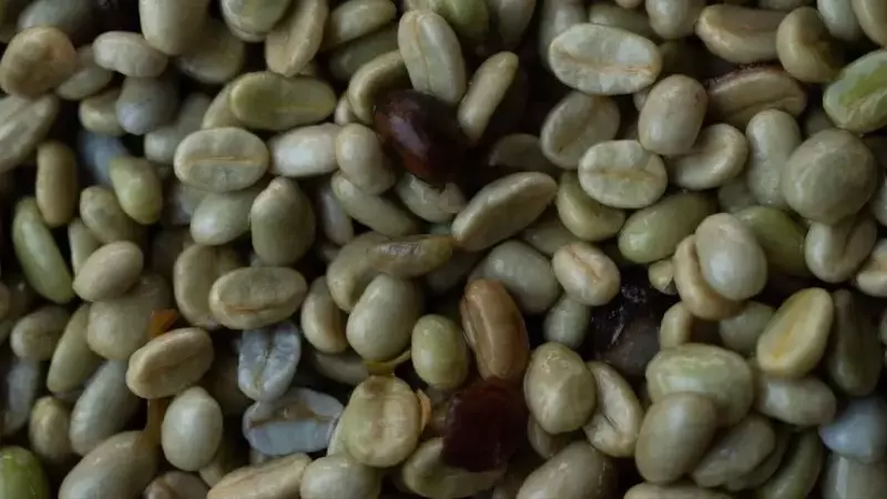 La ciencia detrás del café: Metabolitos indeseables y cómo evitarlos