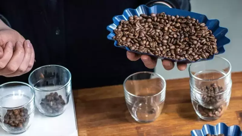 El Dilema del Café Especializado de Calidad Intermedia
