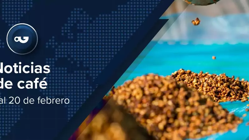 Panorama Global del Café: Desafíos, Innovaciones y Eventos Destacados