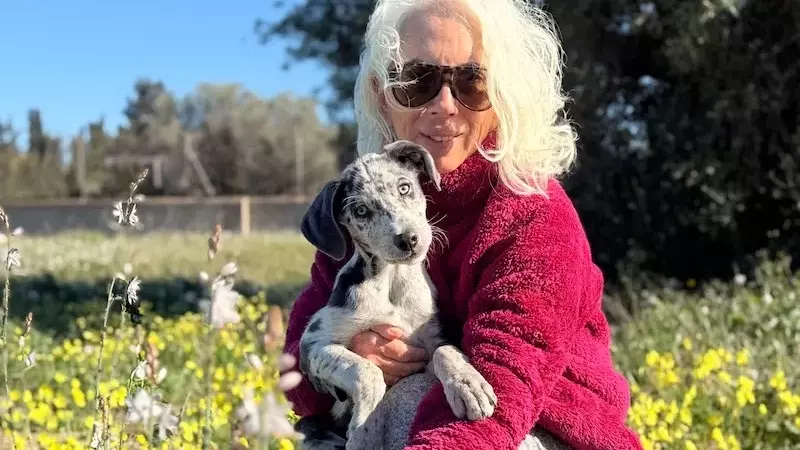 El Impacto Transformador de las Mascotas Adoptadas en el Bienestar Emocional