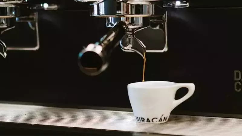 La Innovación en la Torrefacción de Café de Especialidad: Clave para la Resiliencia y el Futuro del Sector