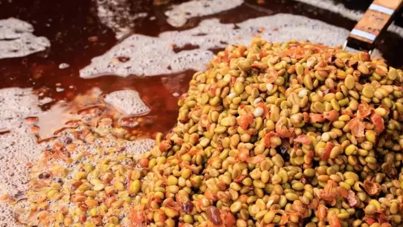 Mejora en la Fermentación del Café: Estrategias para Evitar Errores Comunes