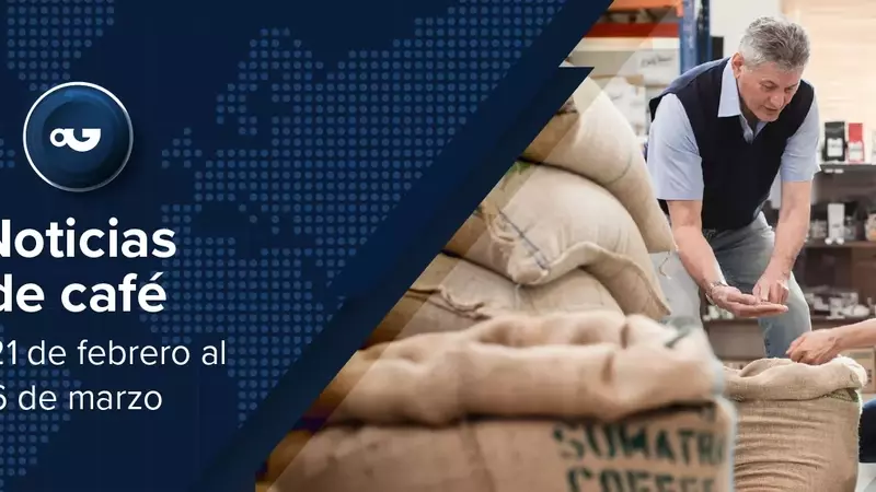 Panorama Global del Café: Avances y Desafíos en la Industria