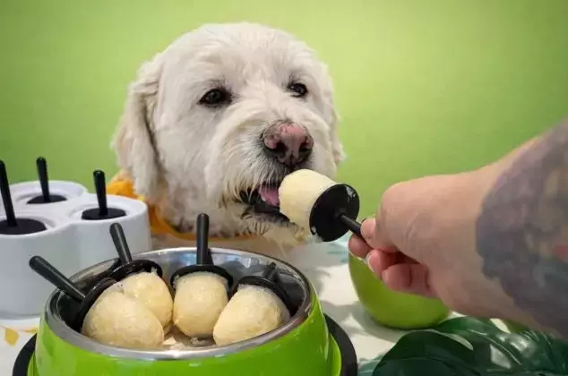 Deliciosos Helados Caseros de Manzana y Yogur para Consentir a tu Perro