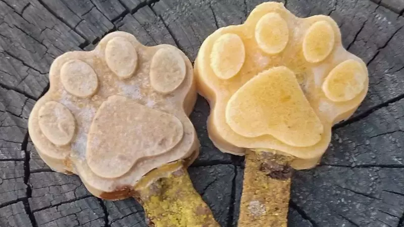 Refrescantes Delicias para tu Mascota: Paletas Heladas Caseras