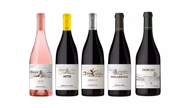 Cepa 21: La Elegancia Renovada del Vino de Ribera del Duero
