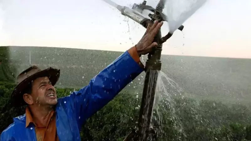El Futuro del Café Brasileño: Irrigación, Sostenibilidad y Desafíos Climáticos