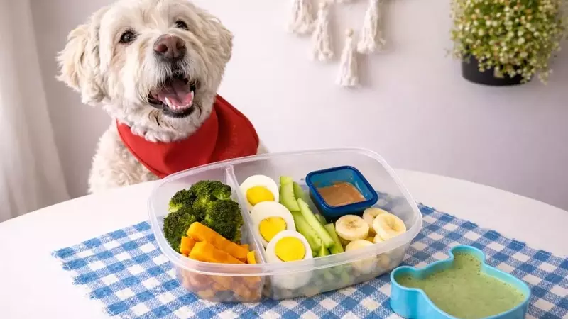 Cómo Preparar Bocadillos Saludables para tu Mascota