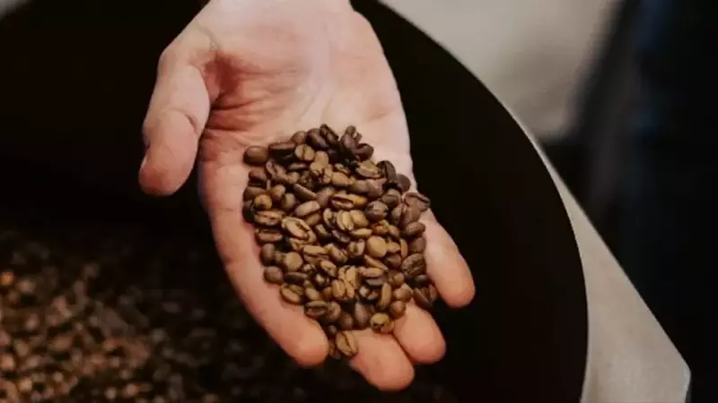 La Evolución Imprescindible: Cómo las Marcas de Equipos de Café Abrazan la Diversificación en un Mercado en Constante Cambio
