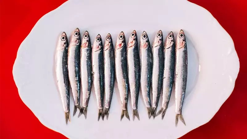 Sardinas: El Secreto de Belleza que Conquista las Redes y la Piel Radiante