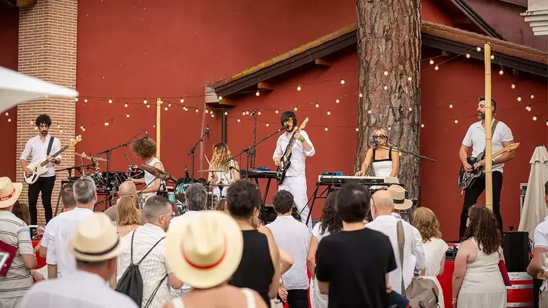 Celebración Enológica Anual: Festival "Día Pruno" en Ribera del Duero