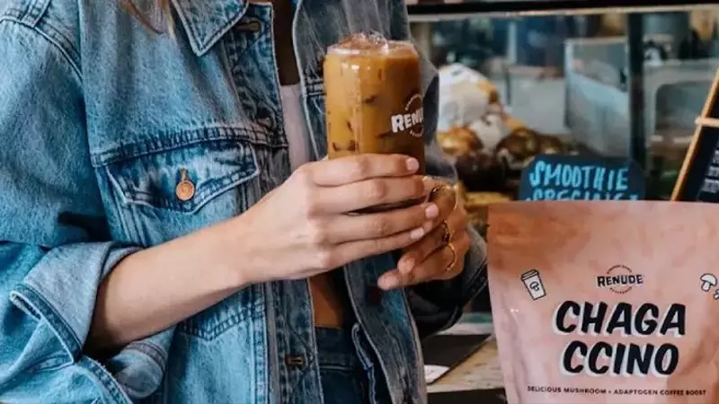 ¿Integrar el Café de Hongos en las Tostadurías: Una Tendencia Lucrativa?