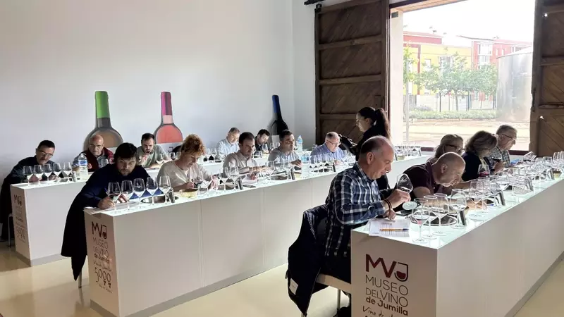 La Cosecha 2025 de la DOP Jumilla: Un A￱o de Contrastes y Calidad "Muy Buena"