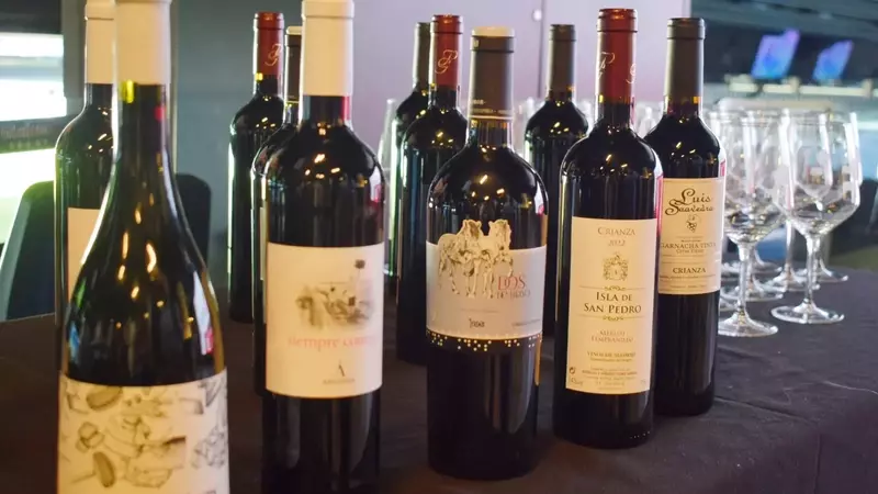 Celebración de los Vinos de Madrid: Reconocimientos y Expansión Global