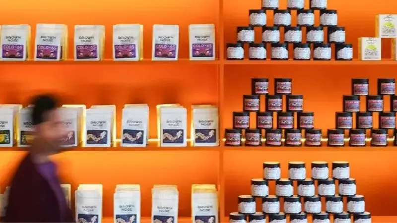 El Auge del Café de Especialidad en el Norte de África