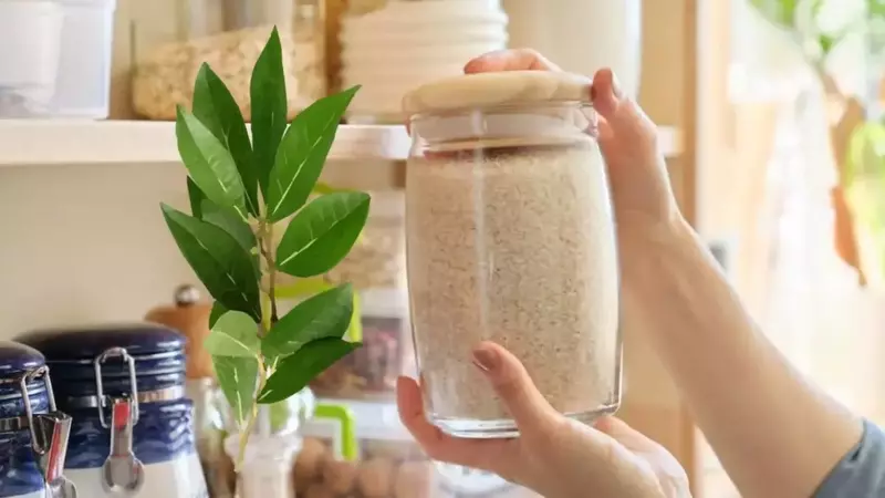 Consejos para almacenar arroz y prevenir plagas