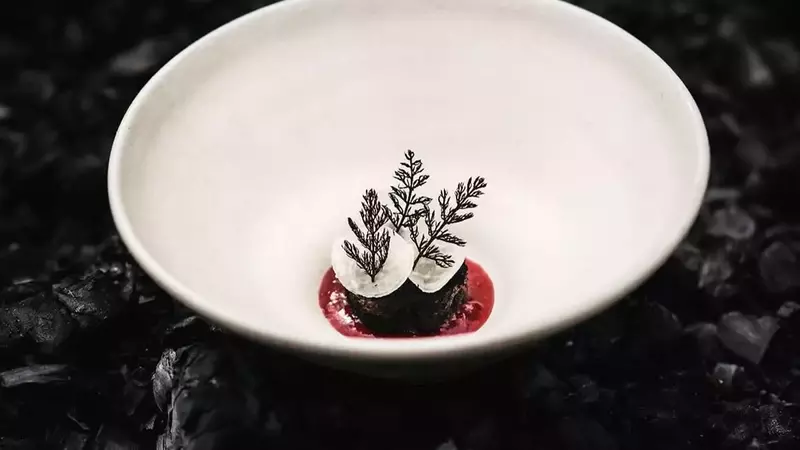La Gastronomía Salvaje de Knystaforsen: Un Viaje Culinario en el Corazón de Suecia