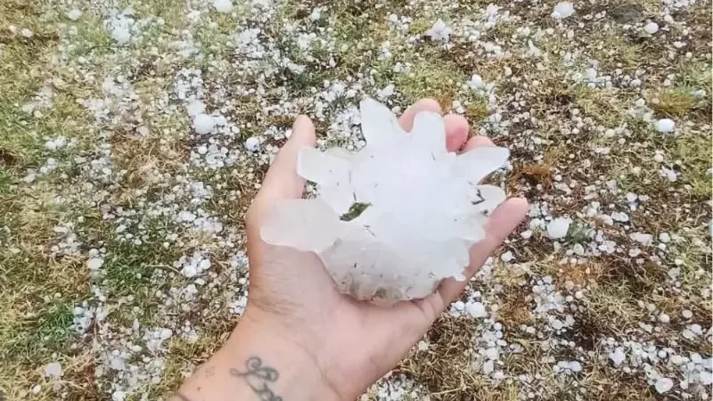 Granizo Devasta Viñedos en el Sur de Ardèche con Pérdidas Millonarias