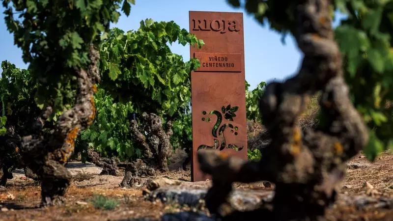 Rioja: Un Legado Vitivinícola Protegido y Celebrado